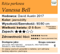 cechy róży parkowej Vanessa Bell