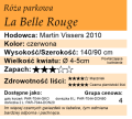 cechy róży parkowej La Belle Rouge