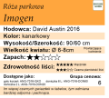 cechy róży parkowej Imogen