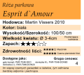 cechy róży parkowej Esprit d`Amour.png