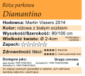 cechy róży parkowej Diamantino.png