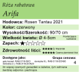 cechy róży rabatowej Arifa