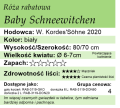 cechy róży rabatowej Baby Schneewitchen