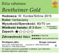 cechy róży rabatowej Bentheimer Gold.png
