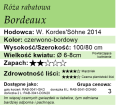 cechy róży rabatowej Bordeaux