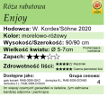 cechy róży rabatowej Enjoy.png
