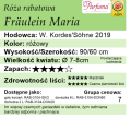cechy róży rabatowej Fräulein Maria