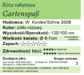 cechy róży rabatowej Gartenspaß