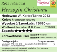 cechy róży rabatowej Herzogin Christiana