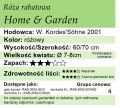 cechy róży rabatowej Home & Garden