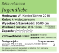 cechy róży rabatowej Jugendliebe