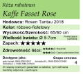 cechy róży rabatowej Kaffe Fasset Rose