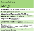 cechy róży rabatowej Mango