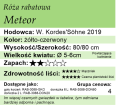 cechy róży rabatowej Meteor.