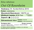 cechy róży rabatowej Out Of Rosenheim