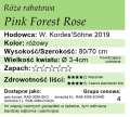 cechy róży rabatowej Pink Forest Rose