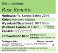 cechy róży rabatowej Rose Romatic