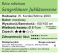 cechy róży rabatowej Sangerhäuser Jubiläumsrose