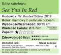 cechy róży rabatowej See You In Red