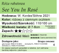 cechy róży rabatowej See You In Rosé