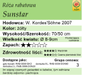 cechy róży rabatowej Sunstar