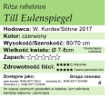 cechy róży rabatowej Till Eulenspiegel