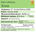 cechy róży rabatowej Xenia.png