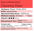 cechy róży wielkokwiatowej Charming Piano.png