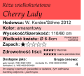 cechy róży wielkokwiatowej Cherry Lady.png