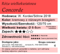 cechy róży wielkokwiatowej Concorde.png