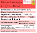 cechy róży wielkokwiatowej Grafin Diana.png