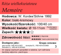 cechy róży wielkokwiatowej Memoire.png