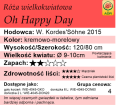 cechy róży wielkokwiatowej Oh Happy Day.png
