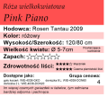 cechy róży wielkokwiatowej Pink Piano.png