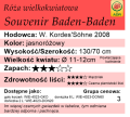 cechy róży wielkokwiatowej Souvenir Baden-Baden.png