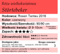 cechy róży wielkokwiatowej Störtebeker.png