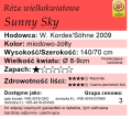 cechy róży wielkokwiatowej Sunny Sky.png