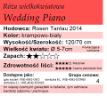 cechy róży wielkokwiatowej Wedding Piano