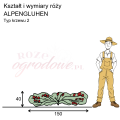wymiary_kształt_róży_ALPENGLUHEN.png