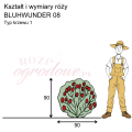 wymiary_kształt_róży_BLUHWUNDER 08.png
