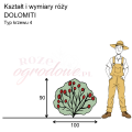 wymiary_kształt_róży_DOLOMITI.png