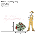 wymiary_kształt_róży_HOTLINE.png