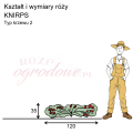 wymiary_kształt_róży_KNIRPS.png