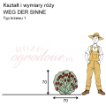 wymiary_kształt_róży_WEG DER SINNE.png