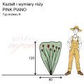 wymiary_PINK PIANO.png