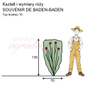 wymiary_SOUVENIR DE BADEN-BADEN.png