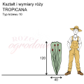 wymiary_TROPICANA.png