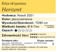 cechy róży okrywowej Horizont