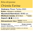 cechy róży okrywowej Orienta Farina