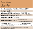 Cechy róży pnącej Alaska